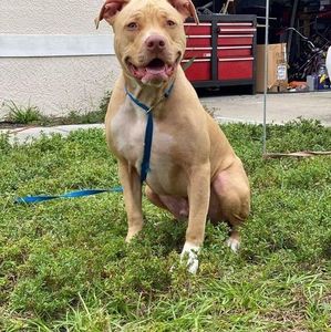 Meet your Posher, Ray e.